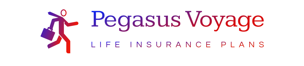 Pegasus Voyage